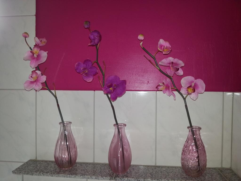 וייל אם ריין Ferienwohnung Grimmer מראה חיצוני תמונה